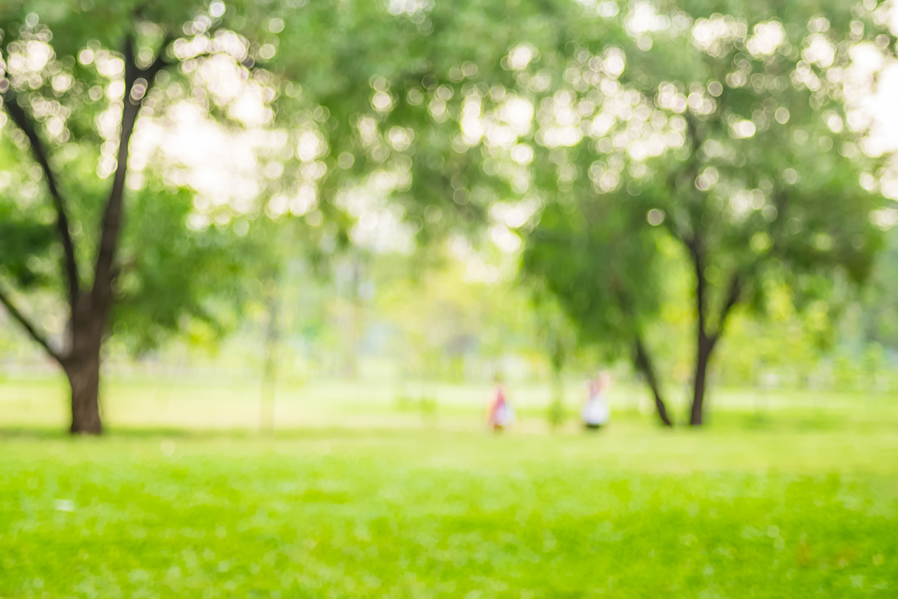 People exercise at green park with bokeh light